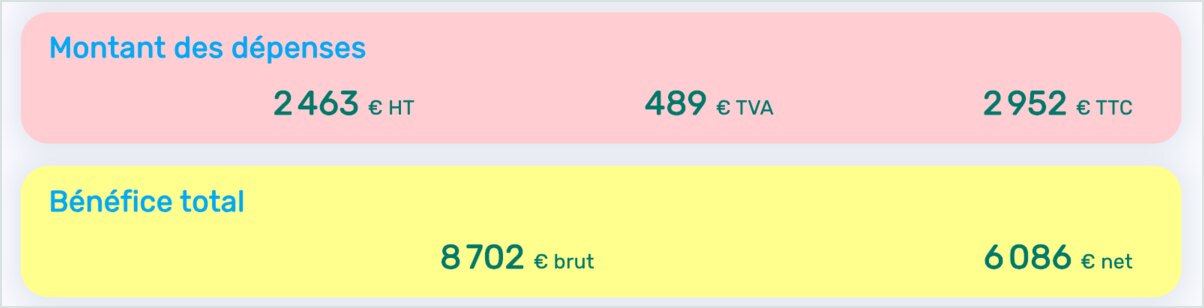 Montant des dépenses et bénéfice total brut et net de l'année dans l'application Livre des recettes sur ordinateur
